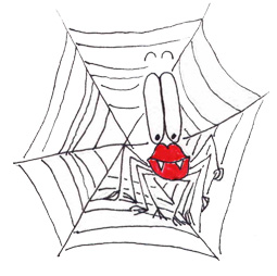 spider ani
